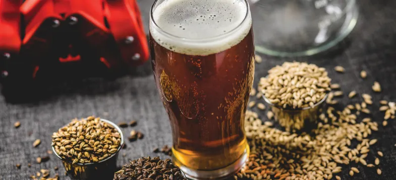  啤酒發(fā)酵過程大揭秘！vAPCI+CMS 聯(lián)用新技術(shù)如何快速捕捉風(fēng)味密碼？